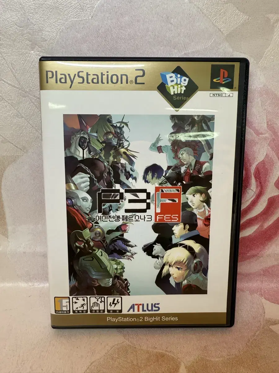 PS2/플스2 여신전생 페르소나3 FES, 설명서 장발